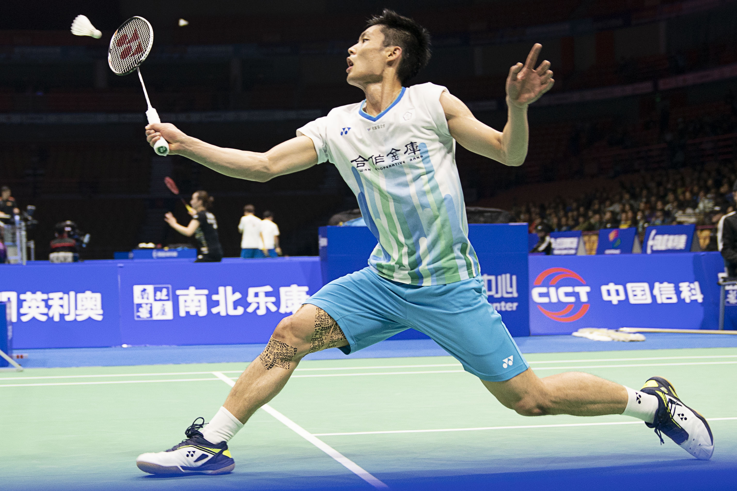 因此篮板球 因此篮板球