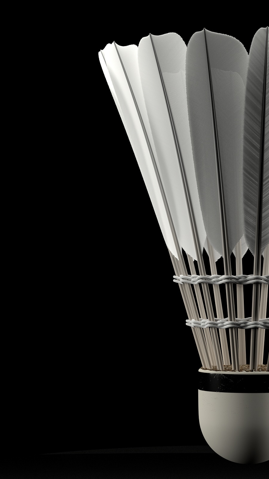 一场特殊的 一场特殊的