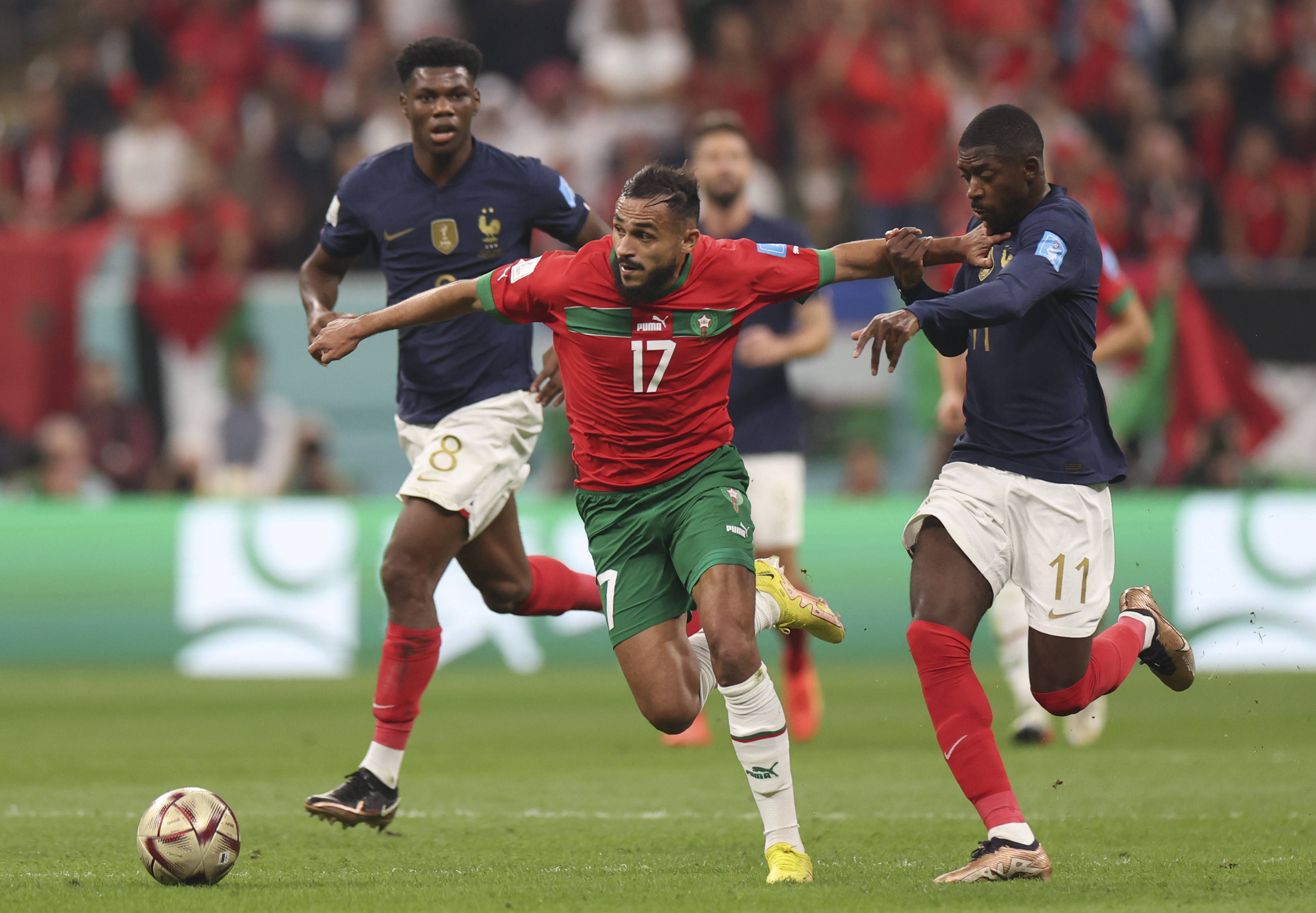 德甲在他执 德甲在他执